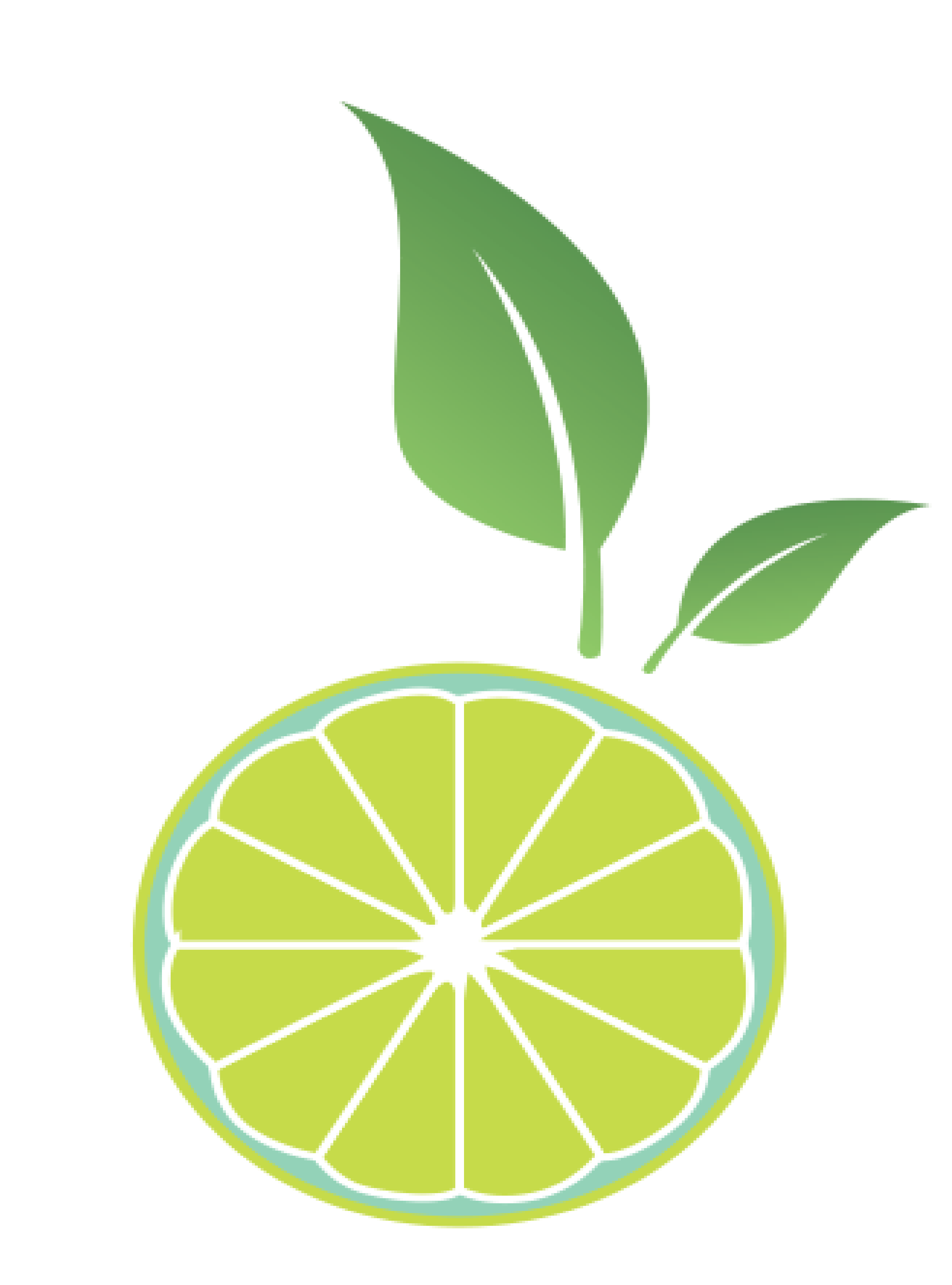 Limon Bilişim